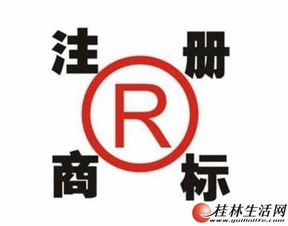 桂林企业一站式服务 公司注册、代理记账与食品流通许可证全攻略